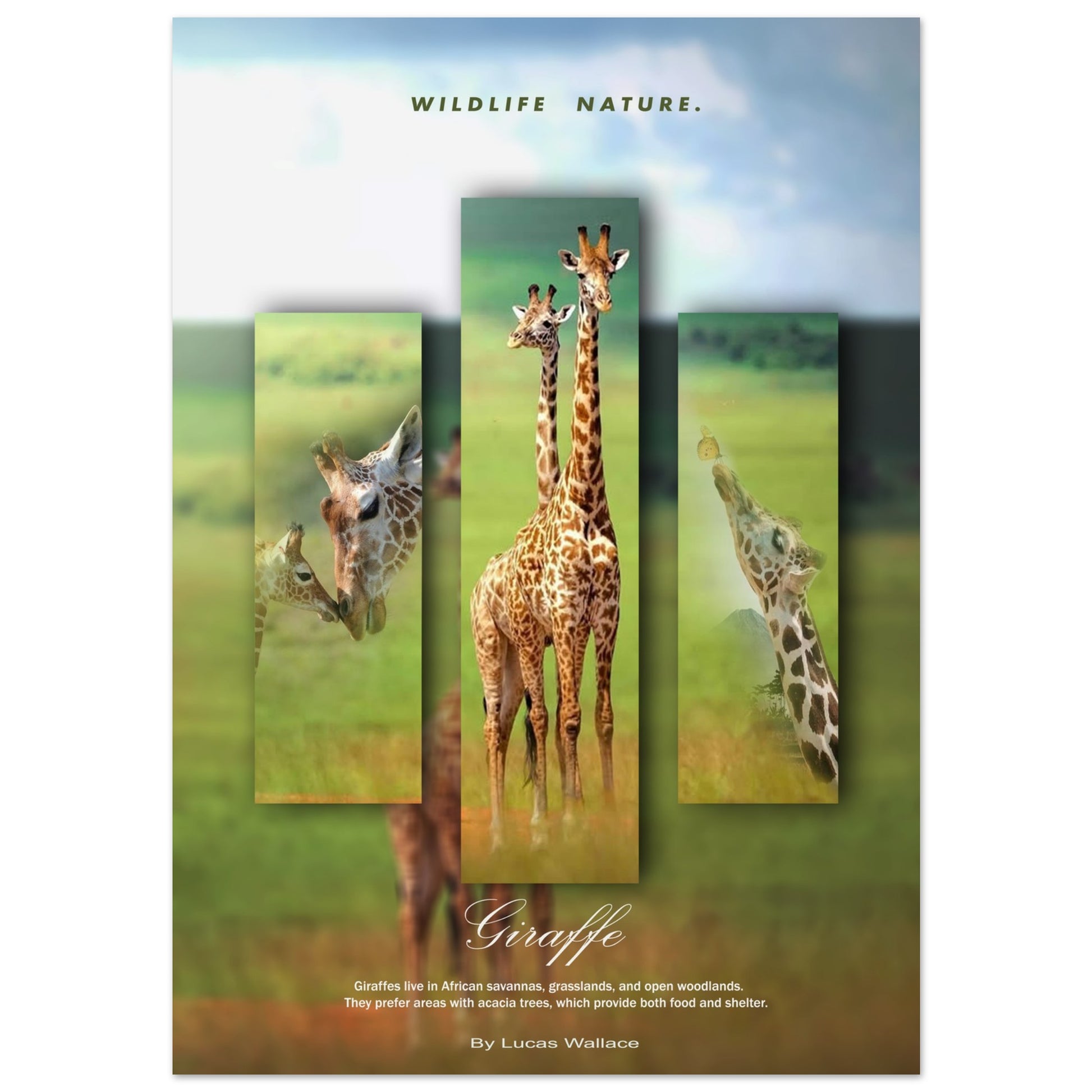 4faaa676-93cc-4681-91d4-5b188851b44f