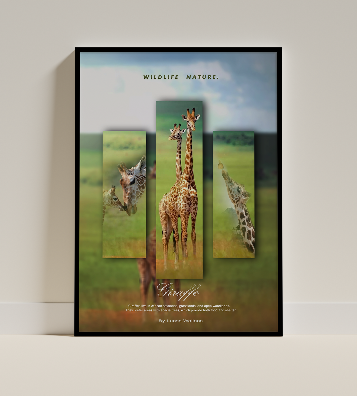Wildlife Giraffe nature poster